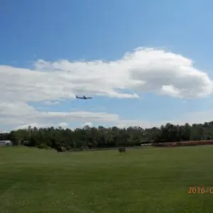 ゴルフセンター